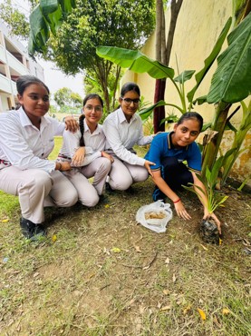 Van Mahotsav Celebration at Zigyasa School