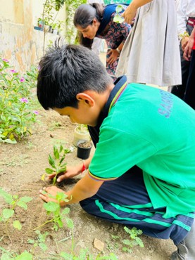 Van Mahotsav Celebration at Zigyasa School