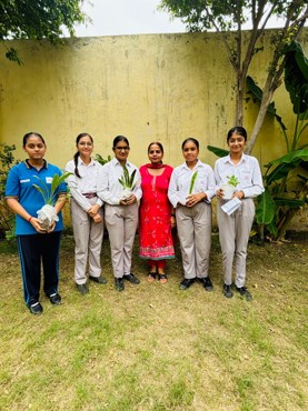 Van Mahotsav Celebration at Zigyasa School