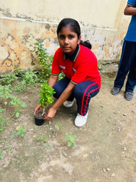 Van Mahotsav Celebration at Zigyasa School