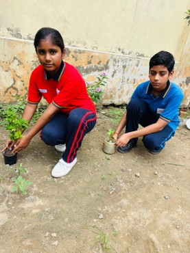 Van Mahotsav Celebration at Zigyasa School