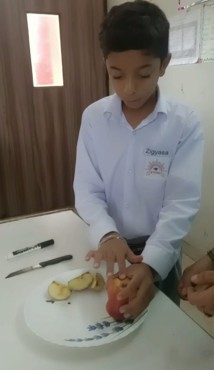 Exploring Fractions with Apples